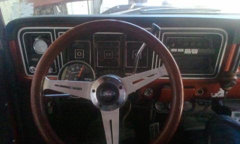 1979 Ford Bronco photo