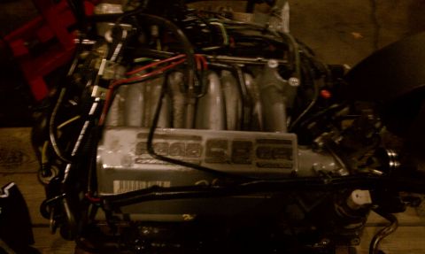 1994 Ford F-250 - Close-up view of an engine, showing intricate wiring and the intake manifold. Some text is legible on a component.