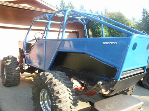 1979 Ford Bronco - This custom buggy has a "BRONCO" badge, but its heavily modified body and roll cage obscure any original year-identifying features.
