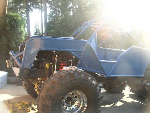 1979 Ford Bronco - This custom-built buggy features a prominent roll cage and oversized tires, suggesting it's designed for extreme off-road use.