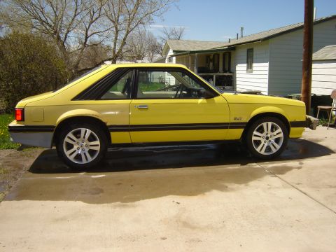 1979 Ford Mustang - This 1979 Ford Mustang coupe is shown from the side, its distinctive black trim and rear window louvers.