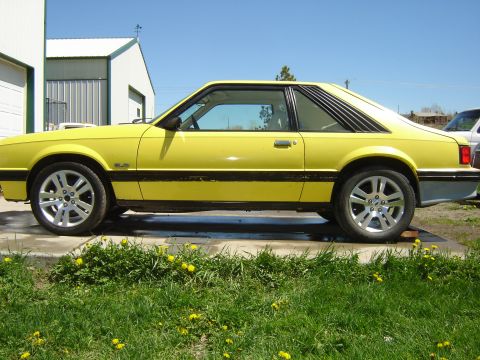 1979 Ford Mustang - A yellow coupe with louvers on the rear window is parked on a concrete pad next to a grassy area.