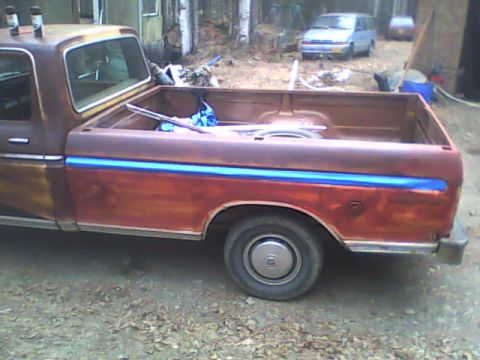 1976 Ford F-150 photo