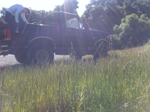 1990 Ford Bronco - 1990 Ford Bronco in a grassy field.