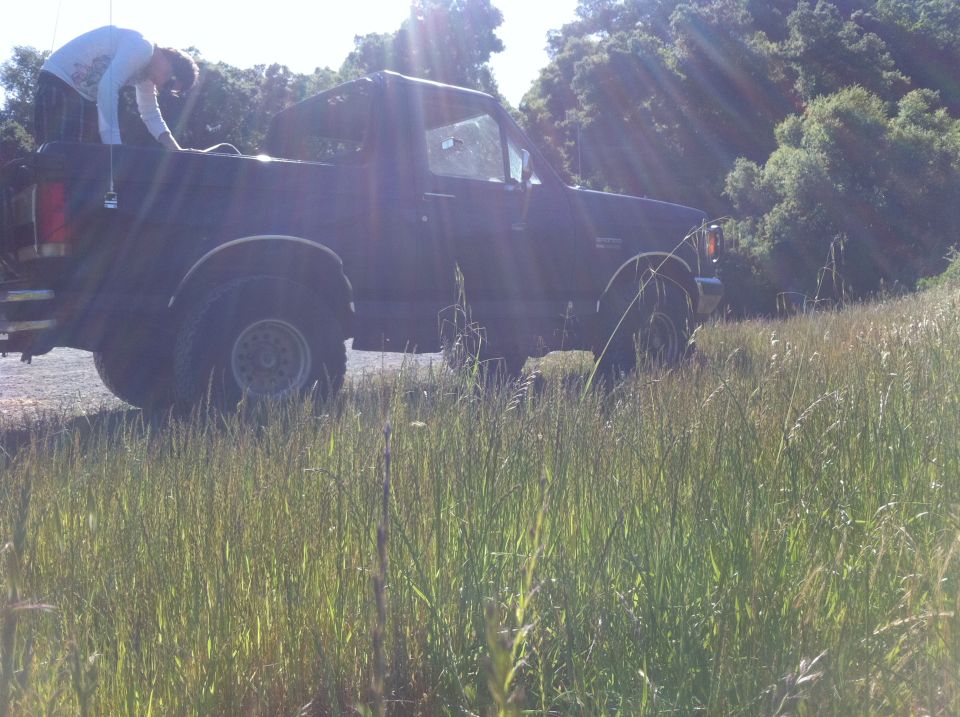1990 Ford Bronco parked in tall grass with a person in the bed