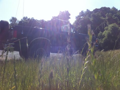 1990 Ford Bronco - A dark-colored SUV, possibly a 1990 Ford Bronco, is parked in a grassy area with trees in the background.