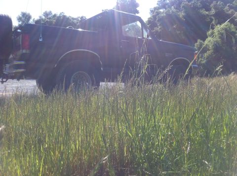 1990 Ford Bronco - 1990 Ford Bronco seen from the side, partially obscured by tall grass.
