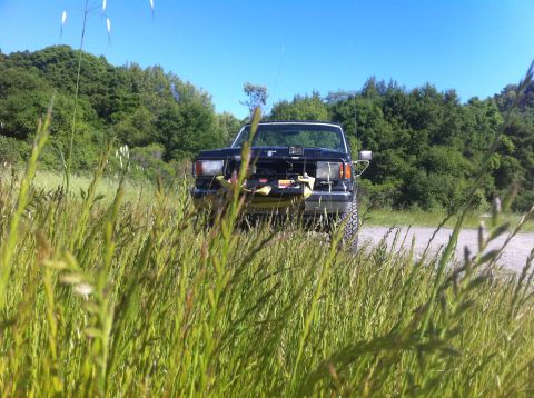 1990 Ford Bronco - A black Ford truck from the late 1980s sits in a field under a clear blue sky.
