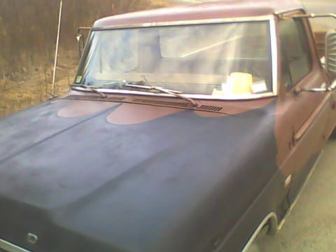 1976 Ford F-150 photo