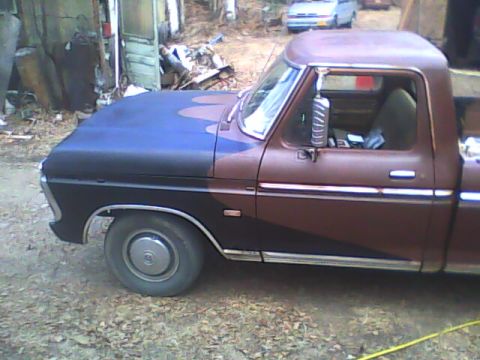 1976 Ford F-150 photo
