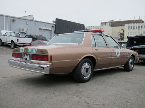 1991 Ford LTD Crown Victoria - Rear three-quarter view of a brown Chevrolet sedan marked Park Ranger with a roof light bar, parked in a lot near buildings.
