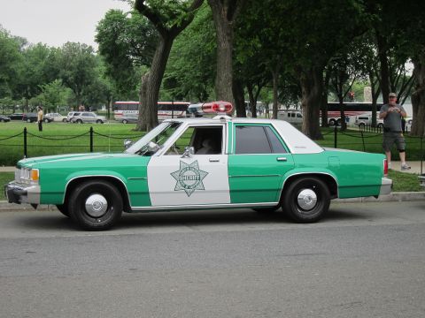 1991 Ford LTD Crown Victoria - green-and-white Sheriff patrol sedan with a six-point star door emblem and red beacon is shown in profile on a park street.