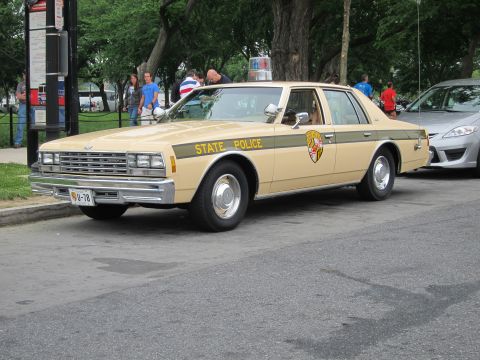1991 Ford LTD Crown Victoria - tan State Police sedan with a green stripe and round shield is parked along a tree-lined street as people gather behind it.