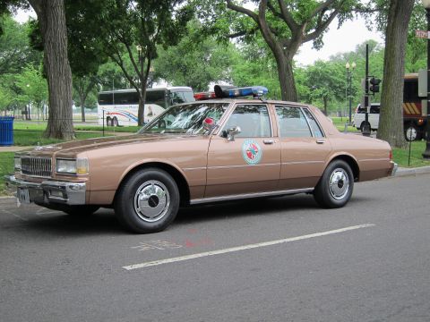 1991 Ford LTD Crown Victoria - brown full-size police sedan with blue and red roof beacons and a circular door emblem is parked along a park street.