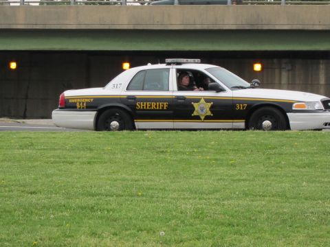 1991 Ford LTD Crown Victoria - black and white sheriff cruiser marked 317 with a driver inside is shown in profile beneath a highway overpass.