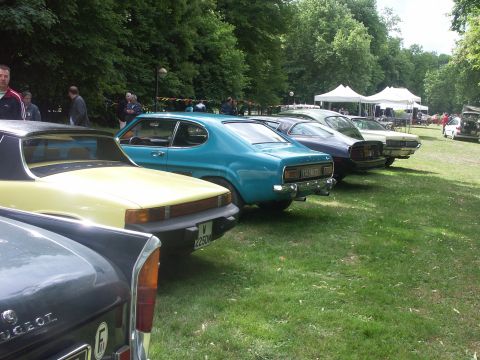 1977 Pontiac Trans Am - Several vintage cars are parked in a row on a grassy field with trees in the background.