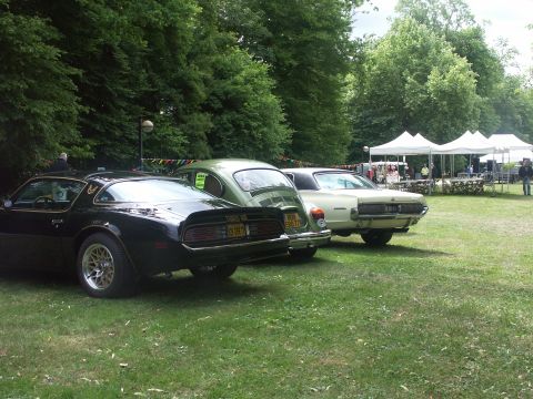 1977 Pontiac Trans Am - A black 1977 Pontiac Trans Am is parked in a grassy field next to other vehicles.