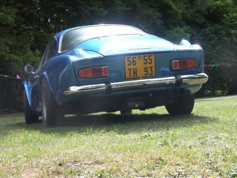 1977 Pontiac Trans Am - Rear view of a blue coupe with a yellow license plate parked on a grassy area.