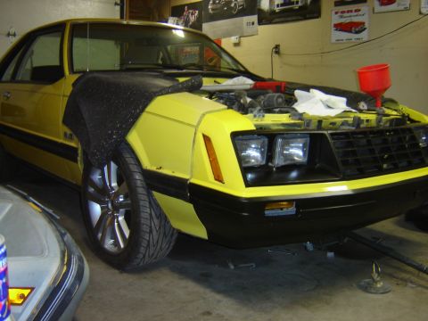 1979 Ford Mustang - it looks like, I might be painting the rest of the car come winter. I should have known, they couldn%u2019t match to 31 year old paint job.…