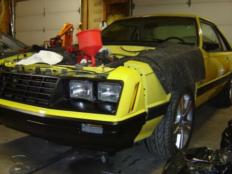 1979 Ford Mustang - it looks like, I might be painting the rest of the car come winter. I should have known, they couldn%u2019t match to 31 year old paint job.…