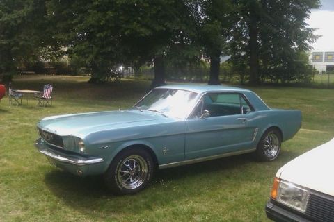 1991 Ford LTD Crown Victoria - A light blue 1965 Ford Mustang coupe is parked on a grassy lawn with trees in the background.