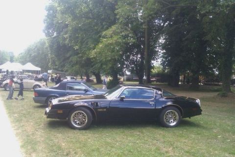 1991 Ford LTD Crown Victoria - Black 1977 Pontiac Firebird Trans Am at an outdoor car show with other vehicles present.