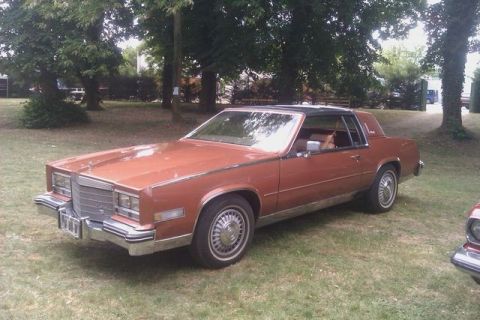 1991 Ford LTD Crown Victoria - This 1979 coupe with a black vinyl roof is parked on a grassy area with trees in the background.