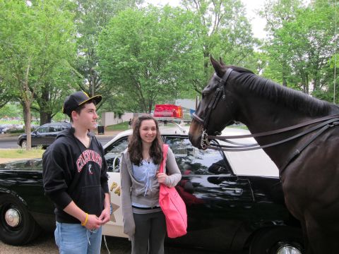 1991 Ford LTD Crown Victoria - Two teenagers pose beside a black police car while a dark horse leans its head toward them under green trees.