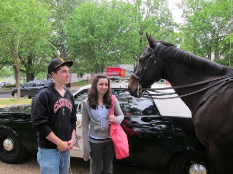 1991 Ford LTD Crown Victoria - Two smiling teenagers stand next to a black police car as a horse extends its head over the rear of the vehicle.
