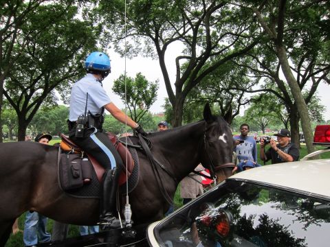 1991 Ford LTD Crown Victoria - police officer in a blue helmet rides a dark horse alongside a parked police car as onlookers photograph the scene in a park.
