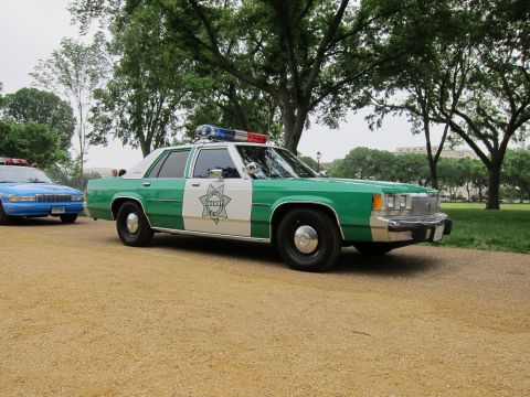 1991 Ford LTD Crown Victoria - green-and-white Ford police sedan with sheriff star decal parked on a gravel path beside a blue police car under park trees.
