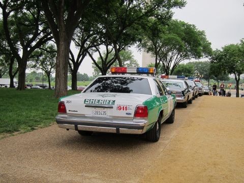 1991 Ford LTD Crown Victoria - Rear view of a green-and-white sheriff sedan numbered 351 leading a line of classic patrol cars on a path near a tall stone obelisk.