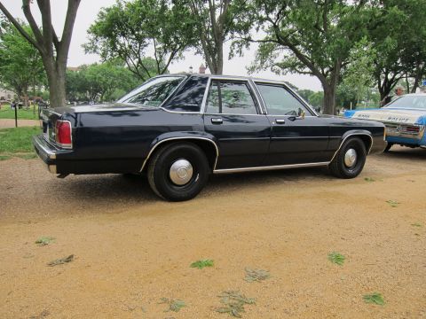 1991 Ford LTD Crown Victoria - dark navy full-size sedan with body-side molding and hubcaps, shown in rear three-quarter profile in a park.