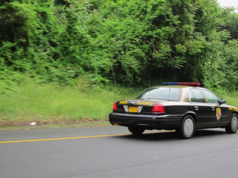 1991 Ford LTD Crown Victoria - black-and-tan state trooper sedan with a lightbar speeds along a two-lane road bordered by green foliage.