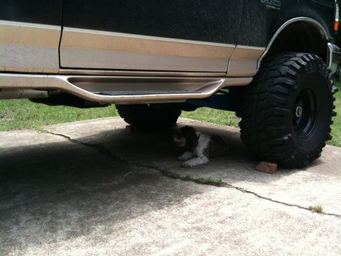 1996 Ford Bronco - Side view of a 1996 Ford Bronco, running boards and off-road tires, with a dog resting below.