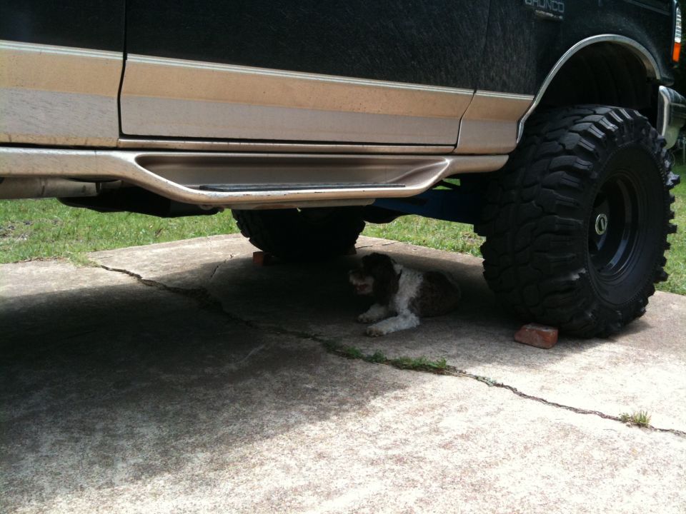 1996 Ford Bronco side view showing running boards and large tires, with a dog lying underneath