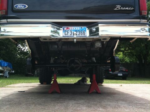 1996 Ford Bronco - The rear of a black Ford Bronco is elevated on jack stands, revealing its undercarriage and chrome bumper.