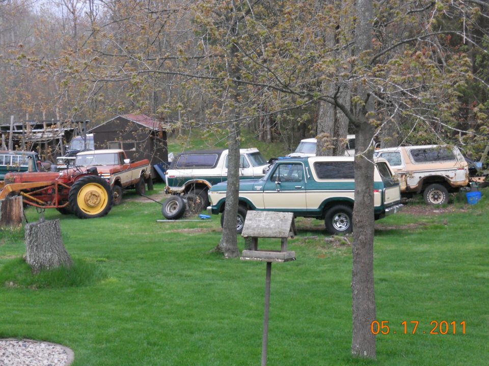 Green and white 1978 Ford Bronco parked in a yard with other vehicles