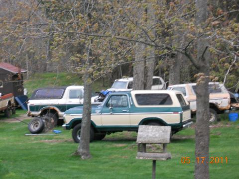 1978 Ford Bronco - Several Ford Broncos are parked in a grassy area with trees and a small shed in the background.