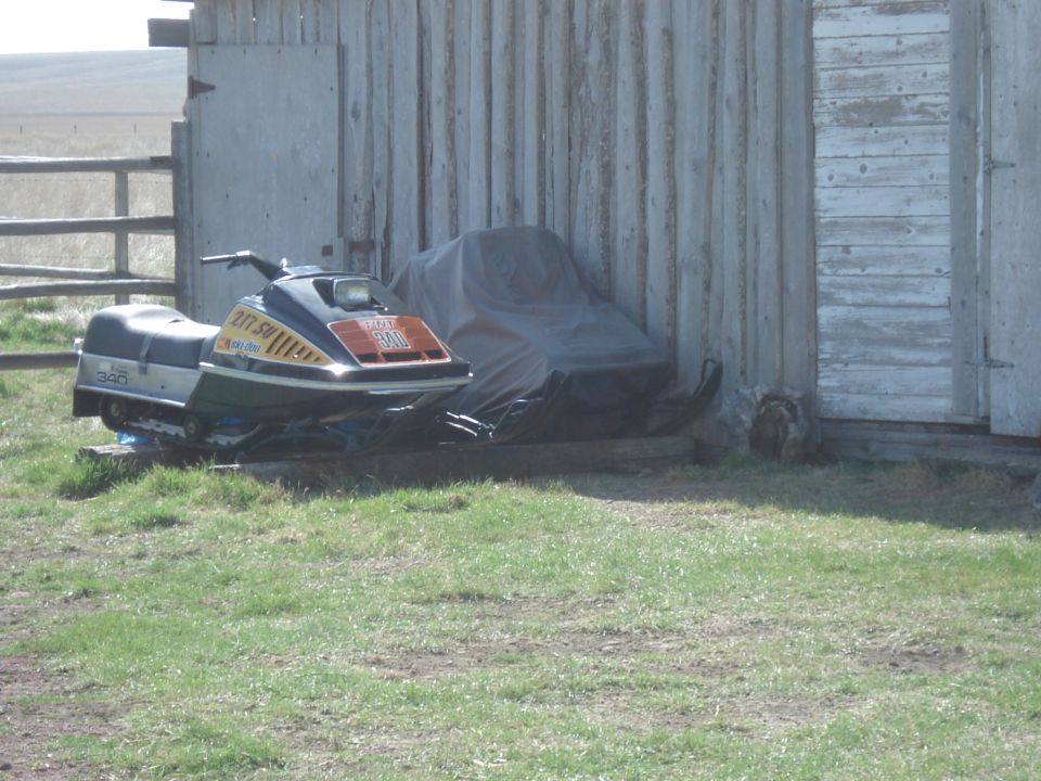 Vintage black-and-orange snowmobile parked by a weathered wooden shed on grass