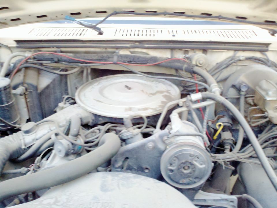 engine bay with hoses, wires, and air cleaner assembly