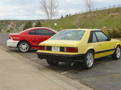 1979 Ford Mustang - Two Ford Mustangs are parked in a lot, one yellow and one red and white.