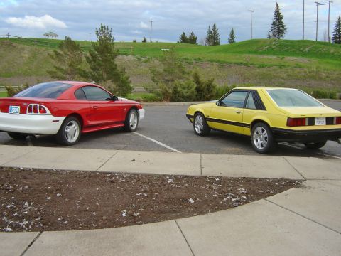 1979 Ford Mustang - Two Ford Mustangs, one from the late 1970s and a newer model, are parked side-by-side.