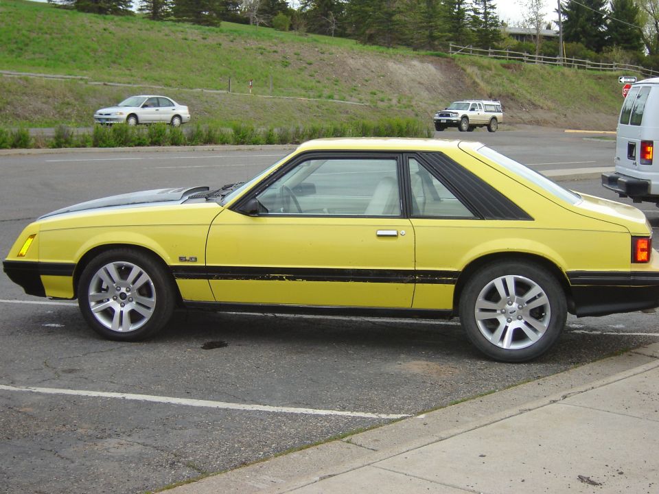 Yellow 1979 Ford Mustang coupe side view with black hood and trim