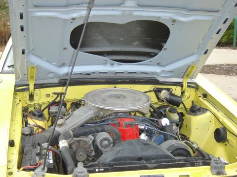 1979 Ford Mustang - Engine bay of a 1979 Ford Mustang, showing the V8 engine and associated components.