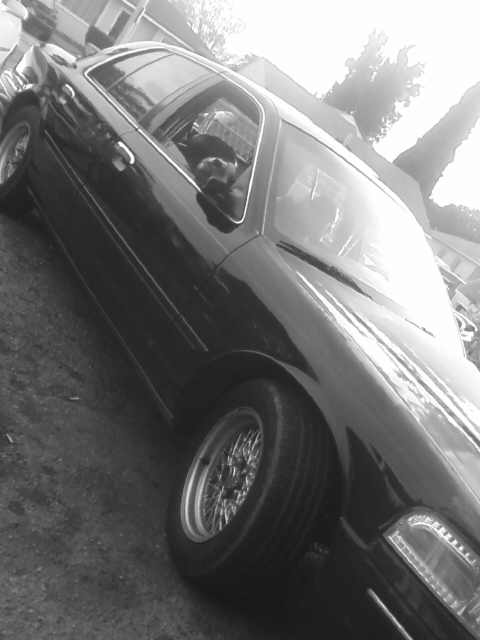 2001 Ford Crown Victoria “MACHO PRIETO”
