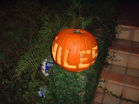 1996 Ford Taurus - A carved pumpkin sits on a bush near a set of tiled stairs, with a small blue sign visible in the foliage.