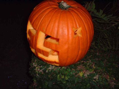 1996 Ford Taurus - A carved pumpkin sits on a stone wall covered in ivy, with a star cut into its side.