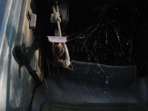 1979 Ford Bronco - Cobwebs fill the interior of this neglected vehicle, obscuring the dashboard details.