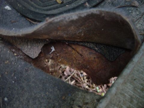 1979 Ford Bronco - Torn floor mat reveals dirt and debris beneath the surface.